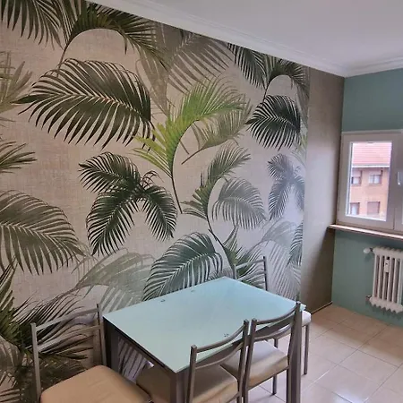 Jasjose Gascona - Centrico, Con Garaje Vut-4924-as * Oviédo